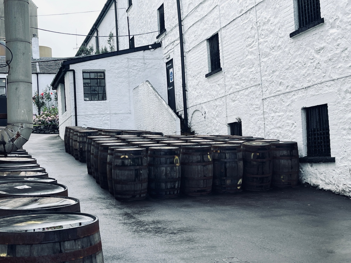 蘇格蘭酒廠之旅 – Bowmore Distillery - 第2張圖 感覺隨性的養桶過程~