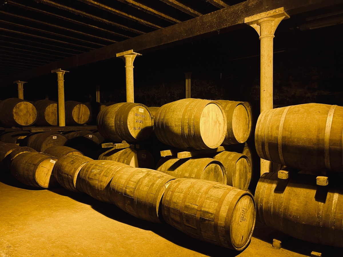 蘇格蘭酒廠之旅 – Bowmore Distillery - 第4張圖 陰暗潮濕的No. 1 Vault