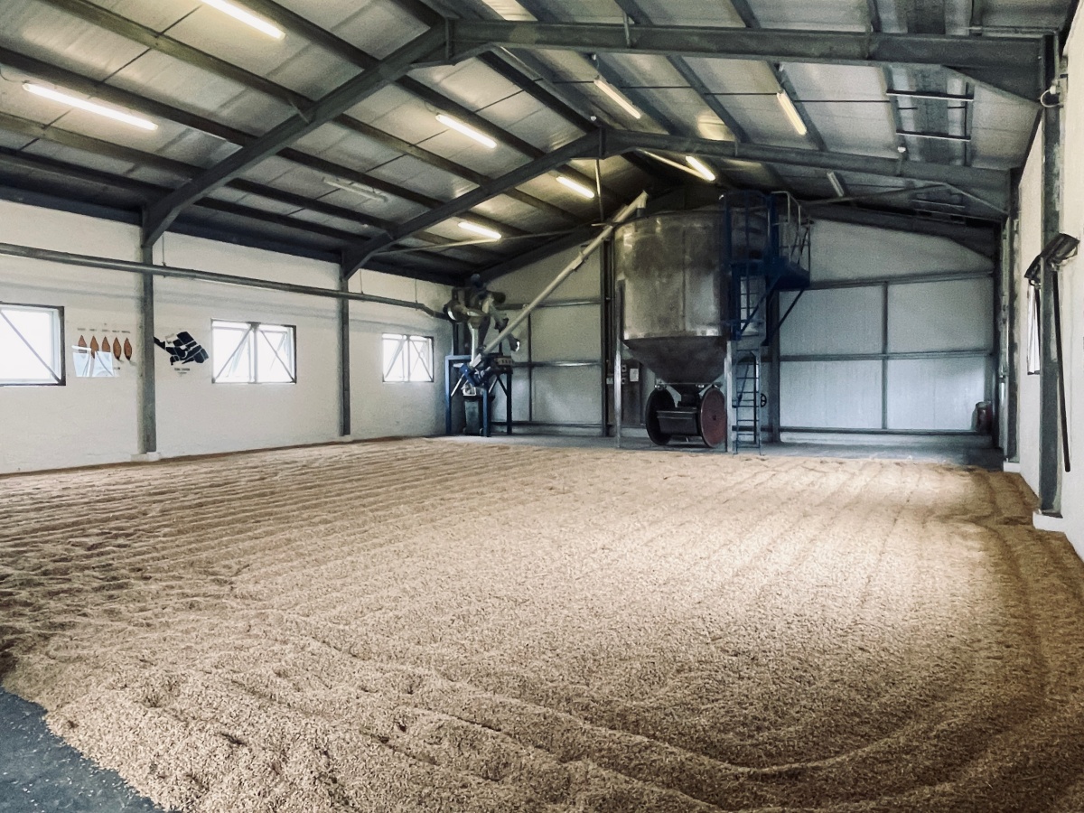 蘇格蘭酒廠之旅 – Kilchoman Distillery - 第2張圖 Floor Malting at Kilchoman