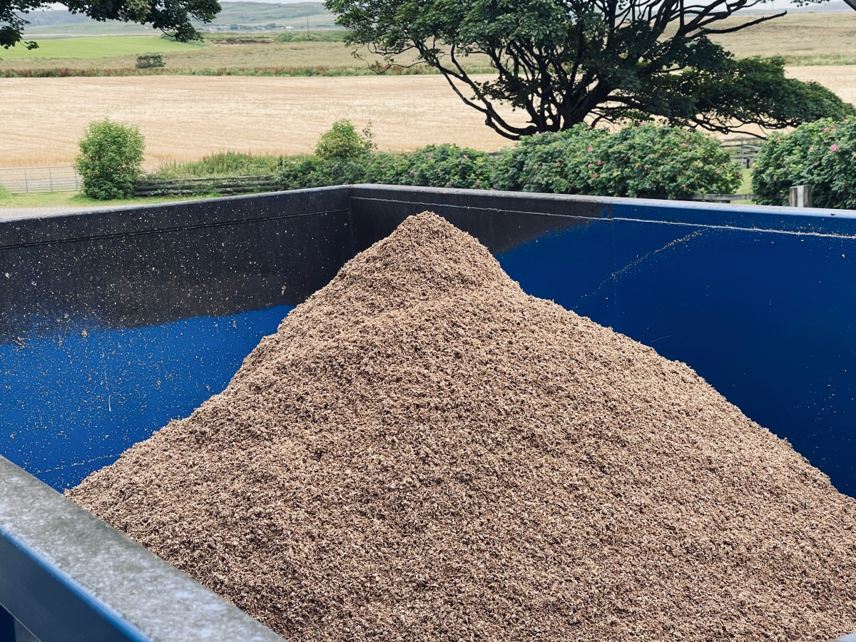 蘇格蘭酒廠之旅 – Kilchoman Distillery - 第4張圖 糖化剩下的殘渣,會送去給牛羊當飼料