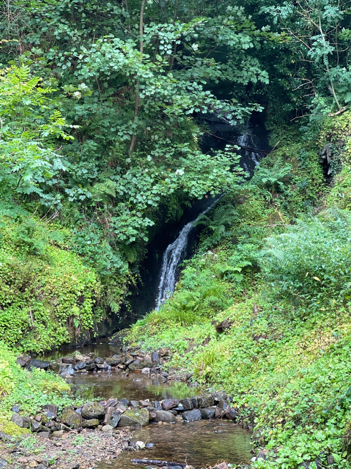 酒廠後方的瀑布，也是Glengoyne的水源