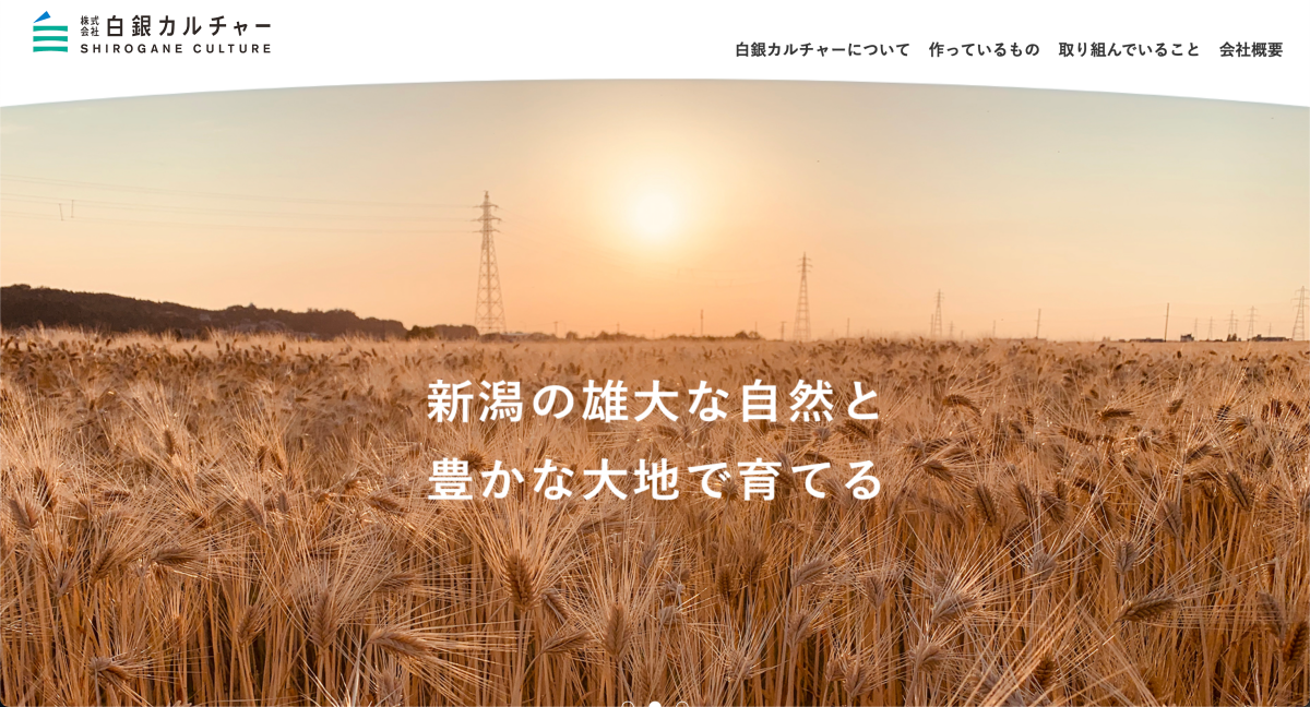 堂田與新潟當地企業「白銀カルチャー」合作，成功孕育出「雪花六稜（ゆきはな六条）」(Photo: 白銀カルチャー官網)