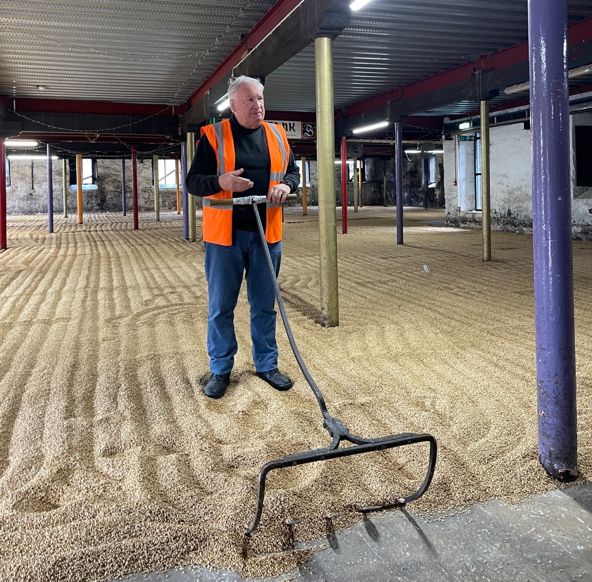 傳統的蘇格蘭地板發麥Floor Malting，圖片攝於Springbank Distillery