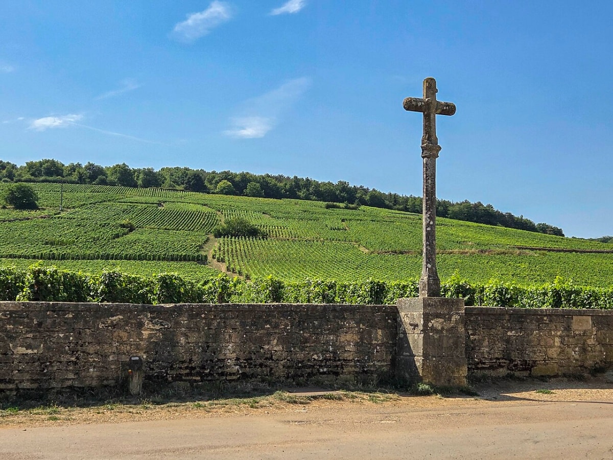 勃根地最著名的一塊特級園Romanée-Conti (Photo Resource: Wikipedia)