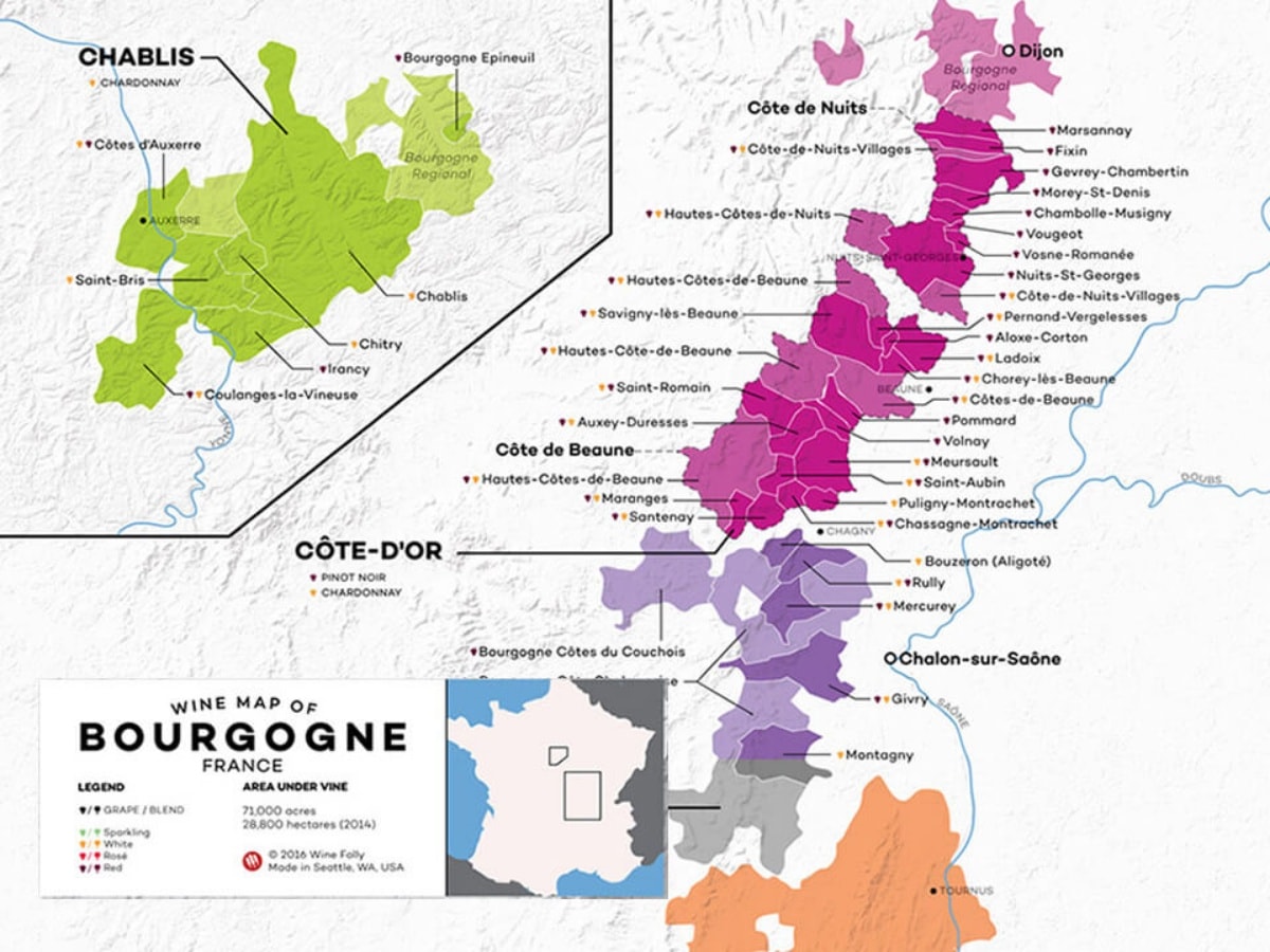 勃根地產區地圖(Photo Resource: Wine Folly)