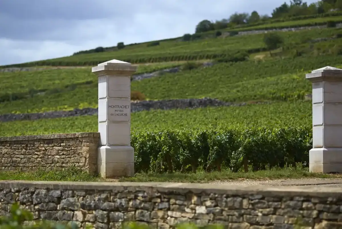 Joseph Drouhin Montrachet Marquis de Laguiche (Photo Resource: Joseph Drouhin)