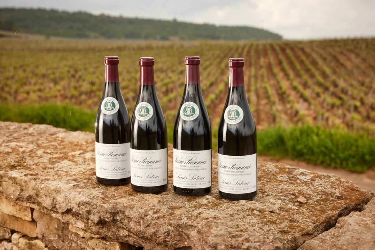 Louis Latour (Photo Resource: Louis Latour Website)